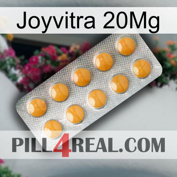 Joyvitra 20Mg levitra1.jpg